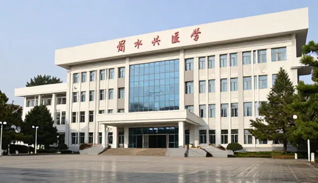 康复指导中的医疗技术应用与适用条件分析